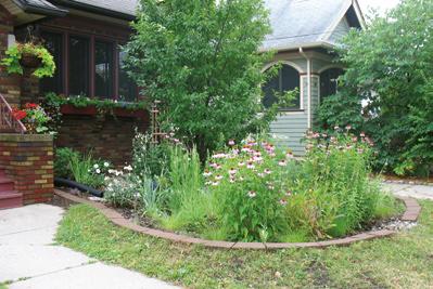 How a Rain Garden works ;A DL Rain gardens are designed to collect rainwater from the roof. The redirected flow is absorbed by plants and infiltrates into the ground.
