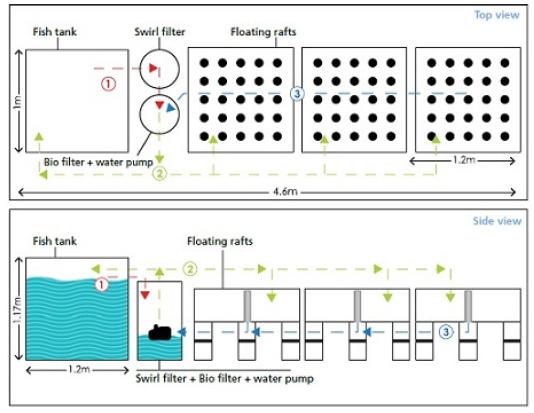 Fishery and Aquaculture Figure 1: Water flow diagram every canal has 1 to 4 hours of retention time.