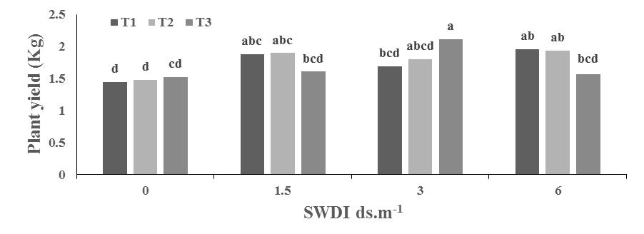 Fig.4. The interaction effect of root zone temperature and different levels of saline water drip irrigation on the Plant yield (kg).