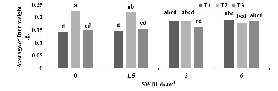 Fig. 1. The interaction effect of root zone temperature and different levels of saline water drip irrigation on the Average fruit weight.
