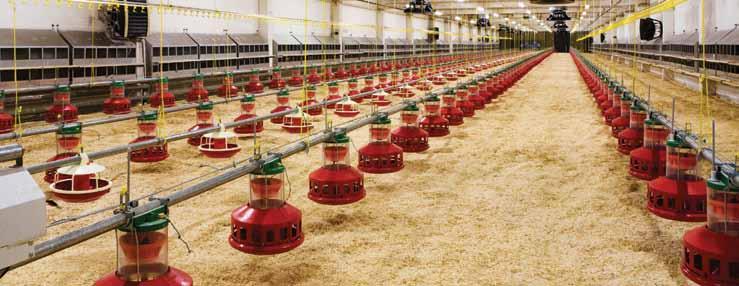 Application Guides Livestock Greenhouse Application Guides Overview cellular solution Overview cellular solution Whether you re raising swine, poultry, or other livestock, a simple equipment failure