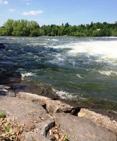 NATURE River Flows by Tournesol from Quebec cleansing my feet launching a new dawn the river flows