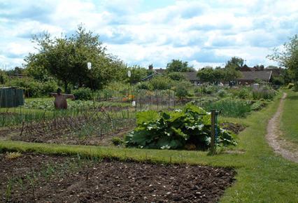 When Lords of the Manor enclosed land in Tudor times with many tenants losing common rights, compensation was often given by specific allotments of land.
