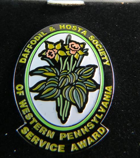 2 Service Pin Award: NOMINATIONS ARE NOW OPEN In 2015 the Steering Committee decided to establish an award to recognize those members who have demonstrated exceptional volunteerism to the club.