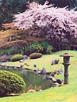 TOPIC: The Oriental Garden and Its Influence On Modern Garden Design Ransom (Ran) Lydell, landscape designer and owner of Eagle Bay Gardens in Sheridan,