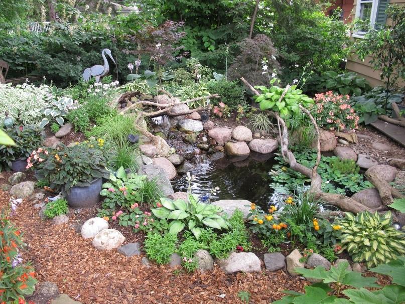 NORTHERN ILLINOIS HOSTA SOCIETY PAGE 6 HOSTA HAPPENINGS Hosta Garden Walk #3 Preview July 8 in Bensenville Nancy Huck s Garden 2018 marks the 40th anniversary of the