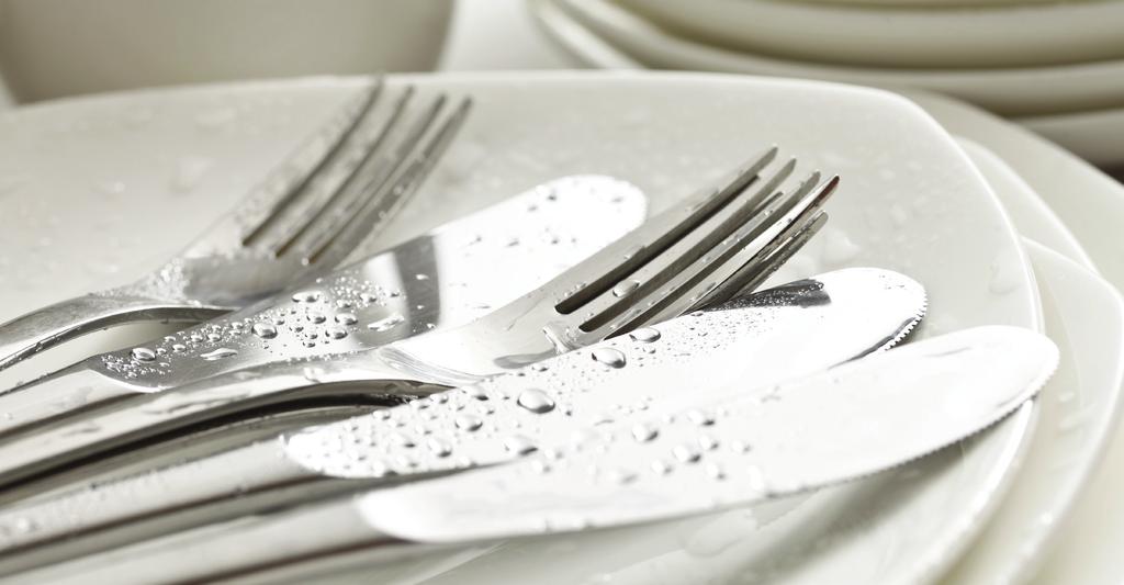 A Smarter, Cleaner Solution for Pre-Soaking Silverware Addressing the challenges of