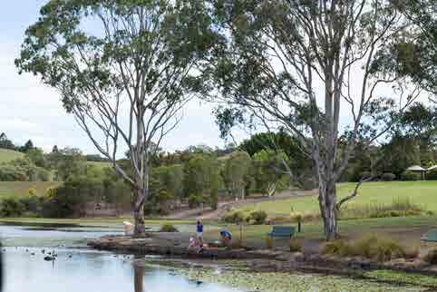 141 Different types of open spaces serve different purposes. The Sydney Open Space Audit, available at www.greater.