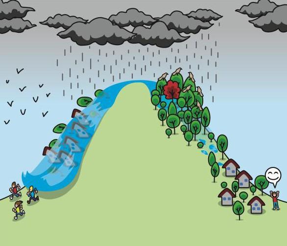 Background ecosystem resilience for disaster prevention Example June 2013: flood catastrophe in Germany caused a damage