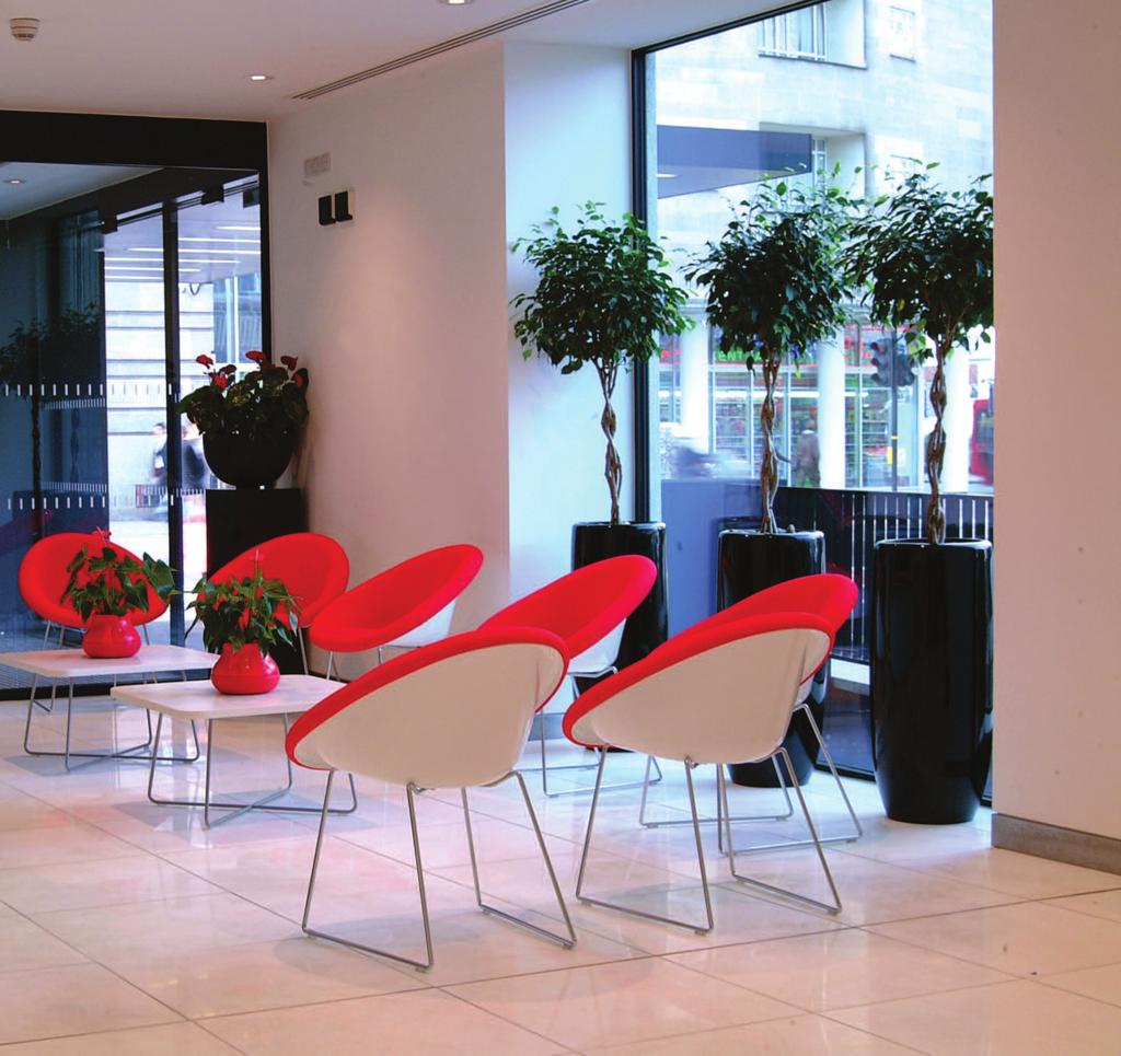There is a wealth of evidence to suggest that putting plants in buildings can significantly reduce absence from work - improving the humidity, absorbing noise and reducing stress levels, in addition