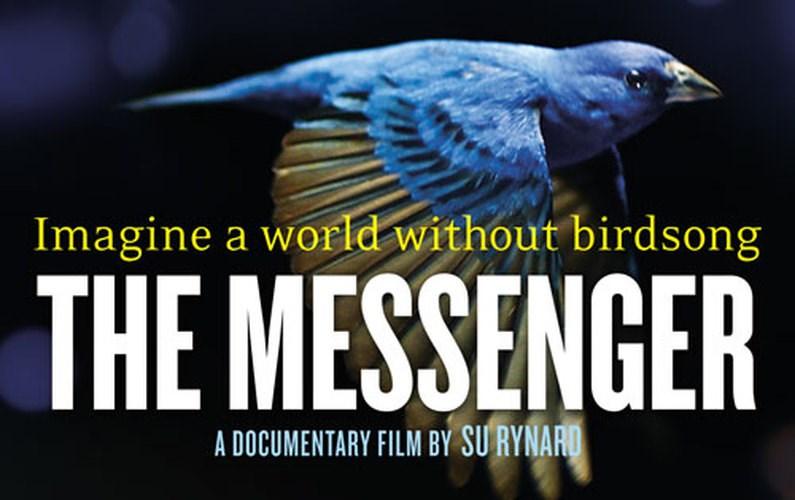 What Can You Do To Help Songbirds? Earlier this year, the TTLT co-hosted a showing of The Messenger, a documentary about the uncertain future of migratory songbirds.