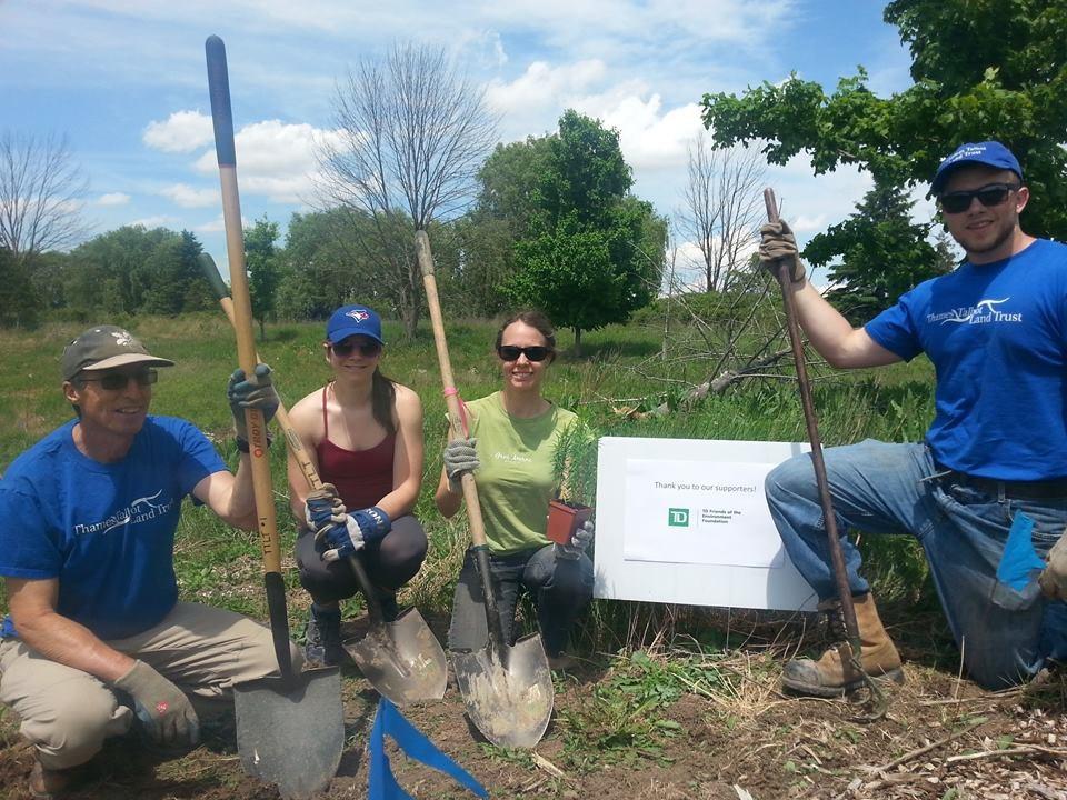 Community Native Plant Garden at Wardsville Woods On June 2nd, the TTLT planted the Community Native Plant