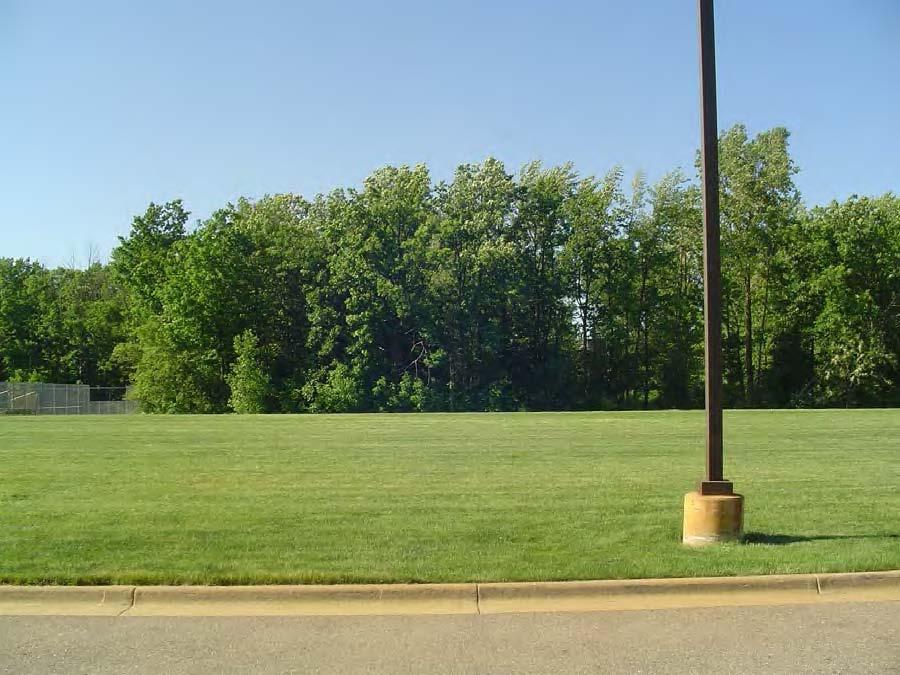 Athletic Field Photo 8
