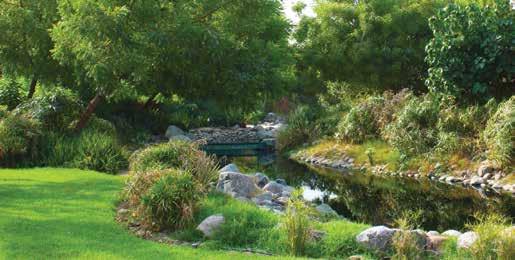 Showcase Gardens babbling streams and verdant greenery become an
