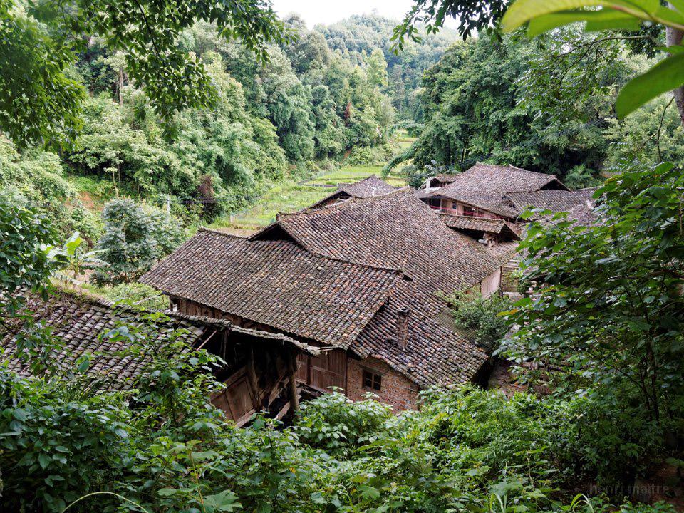Architecture Wooden houses are built on stilts because of the climate and the terrain conditions. The roof can be either a tiled roof or a thatch roof.