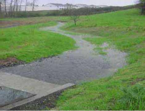 availability of free labor and materials such as compost and soil (NCGBTD 2003). Figure 4. A bioswale (without check dams) during a storm. Steps for Construction 1.