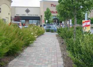 Guideline 40: Define pedestrian walkways within parking areas with continuous planting areas consisting of trees and shrubs (Figure 25).