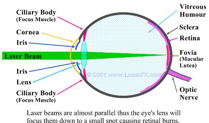 Figure 2: Laser Components 3 Laser Hazards 3.1 Eye Hazards Corneal or retinal burns (or both) depending upon laser wavelength, are possible from acute exposure.