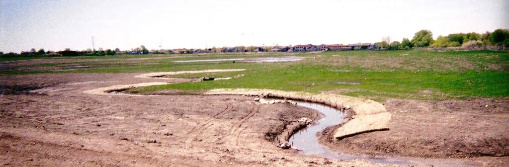 prairie/wetlands/stream biodiversity