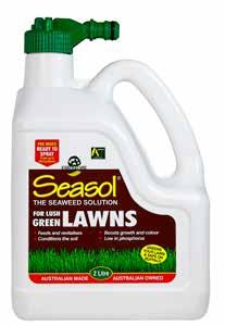 Likes Full sun Flowers summer Grows 20cm tall x 30cm wide SEASOL FOR LAWNS The popular seaweed solution, a liquid fertiliser and health treatment in one, is now specially developed for lawns.