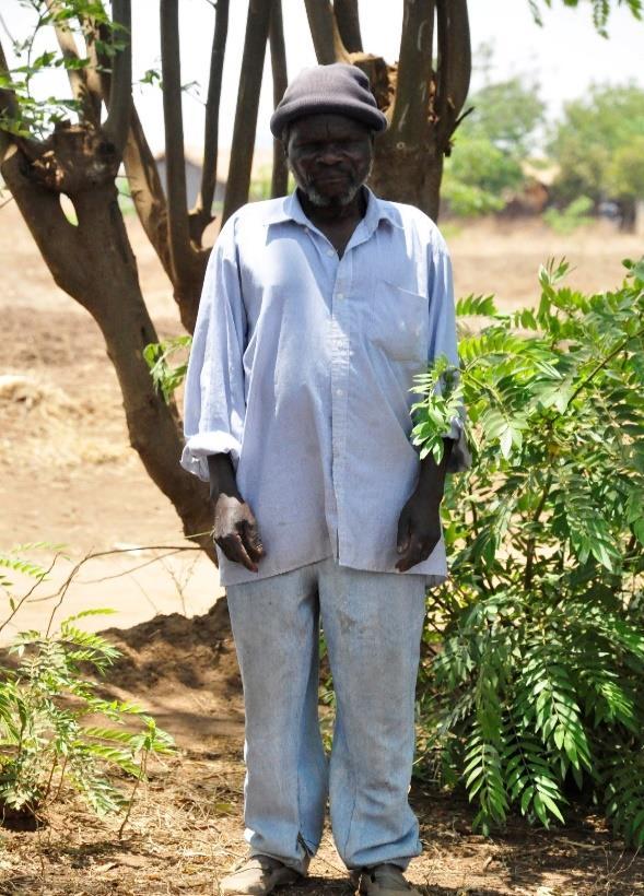 branch. At a rate of 6 branches per tree, he can earn in average 2400 MK/tree every two year.