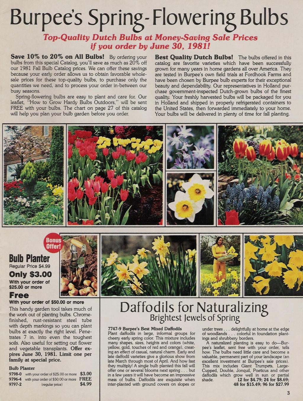 Burpee's Spring- Flowering Bulbs Top-Quality Dutch Bulbs at Money-Saving Sale Prices if you order by June 30, 1981! Save 10% to 20% on All Bulbs!