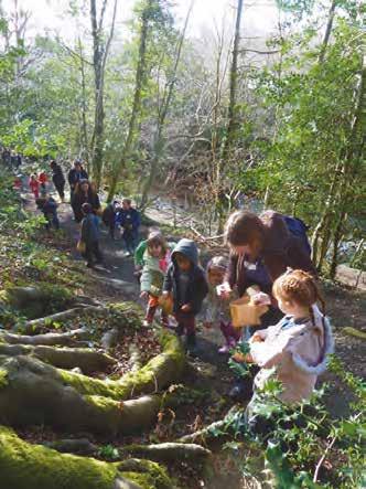 In this bespoke programme, our Education Officer spends the day with your class to help you find out more about your Local Environment.