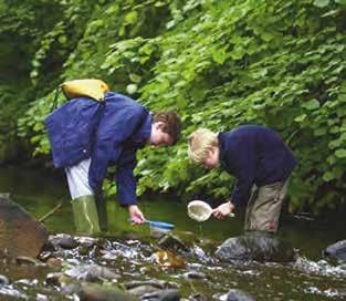 Secondary School Field Studies at the Water of Leith Visitor Centre All Year Cost: 5.