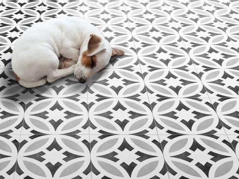 Designers and homeowners alike are now taking full advantage of everything patterned tiles have to offer.