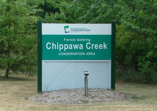 Existing Conditions: Natural Heritage Environment Welland River, Oswego Creek and the Chippawa Creek Conservation Area are key natural heritage features in the study area.