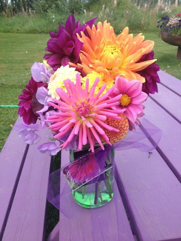 Before I go: The variety of dahlias I grow changes a bit from season to season as I tweak which ones have the longest vase life.