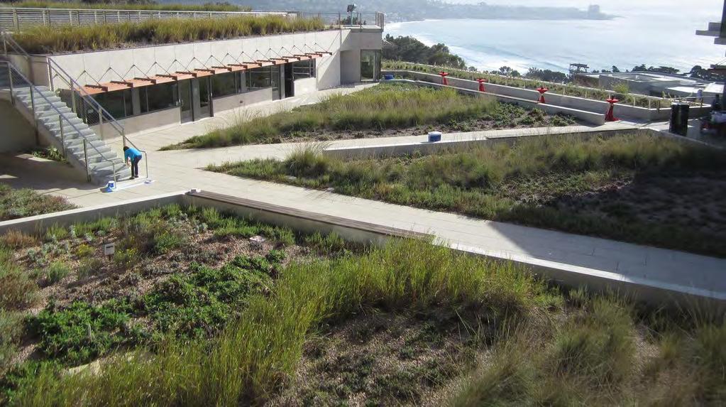Revolutionizing Green Roof and Green