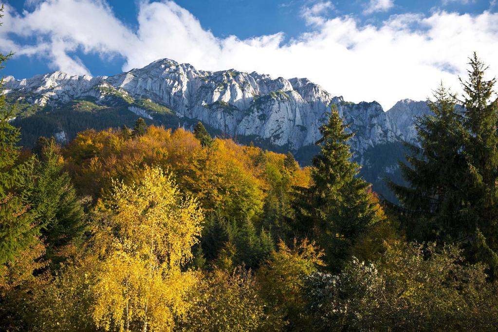 THE MOUNTAIN DIMENSION OF COOPERATION Carpathian Biosphere Reserve, Transcarpathia, Ukraine Photo: Vian / Wikimedia Commons Carpathian Convention as