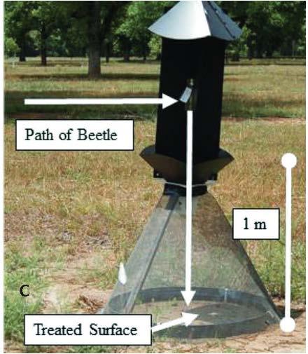 Chemical Control Chlorpyrifos treatment of the soil around the base of the tree trunk at 250 ml per 200 L of spray effectively controls the adult beetles (Dutcher and Bactawar, 2014) Counted beetles