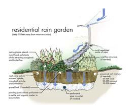 garden? Rain gardens are typically small- to medium-sized landscape beds or gardens planted in a small depression that receives rainwater from a gutter, driveway, or other source on your property.