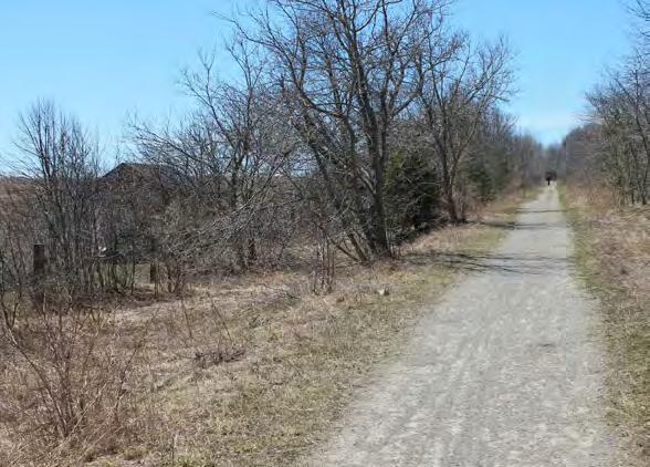 Town of Caledon Region of Peel View on trail looking east just in from Winston Churchill Boulevard. From this area to Shaws Creek Road, vegetation and fencing will remain.