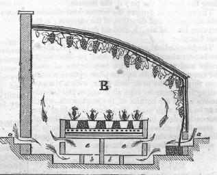 Plan of a vinery from the American Agriculturalist of April 1847. The vinery was heated by a flow of warm air (arrows) from a small external furnace that used very little fuel.