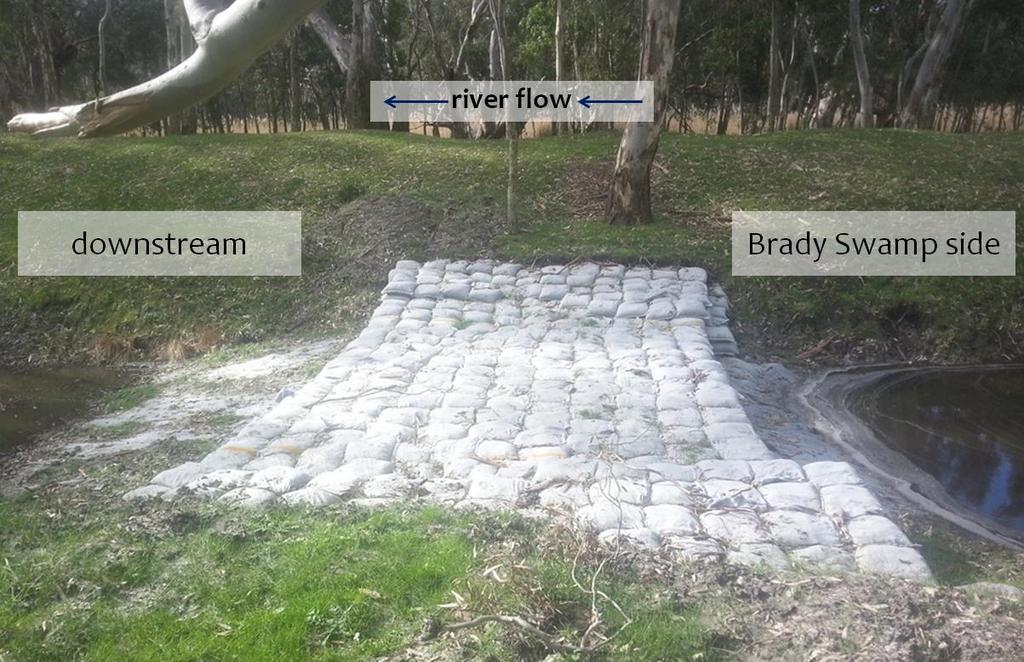 To illustrate this point, the image below shows the outlet drain from Brady Swamp, with the restoration trial structure operating effectively as a block (as it appeared in August and September 2014),