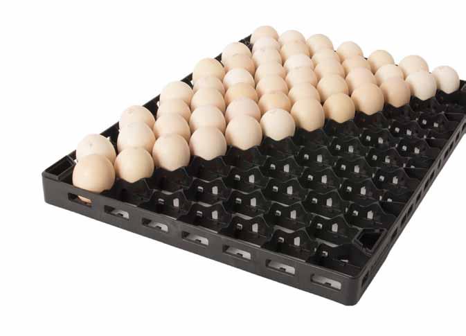 Unique honeycomb setter trays Petersime s 84 egg HD setter tray has an increased egg density com - pared to standard setter trays.