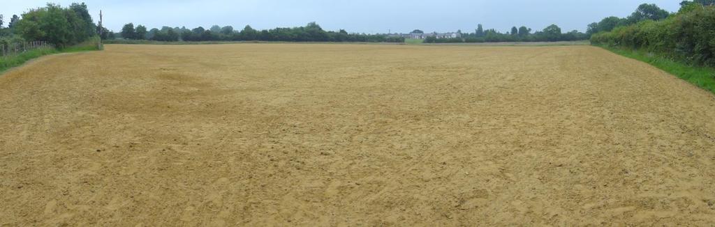 Figure 5-3 Sand carpeted pitch awaiting grass establishment The appropriately specified sand should be spread and then blended with the top 25 to 50 mm of the topsoil in order to improve the