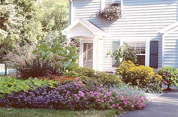 Mixed shrubs and flower beds can provide