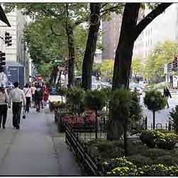 who live, work, play and visit the Yonge Street corridor.