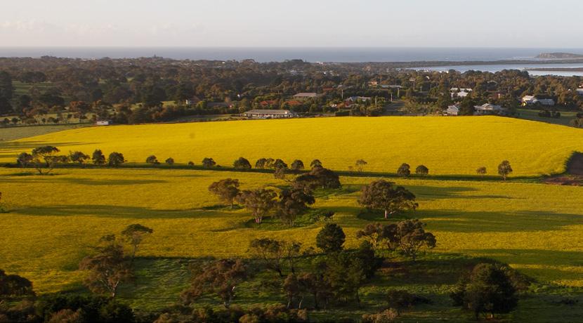 Overview of the area The Bellarine Peninsula is located approximately 90 kilometres from Melbourne and approximately 12 kilometres to the east of the urban area of Geelong.