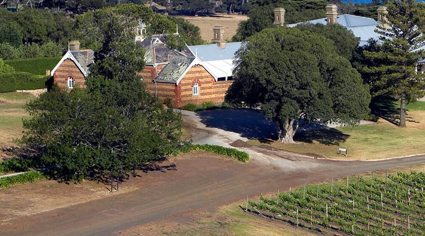 Farming activity on the Bellarine Peninsula shapes the landscape which is so valued by the community.