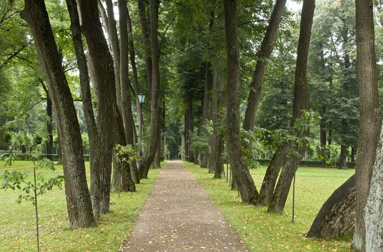 Fig. 4. The Russian Parnassus Linden Tree Alley. The Ostafyevo Estate Museum The park zone (15.