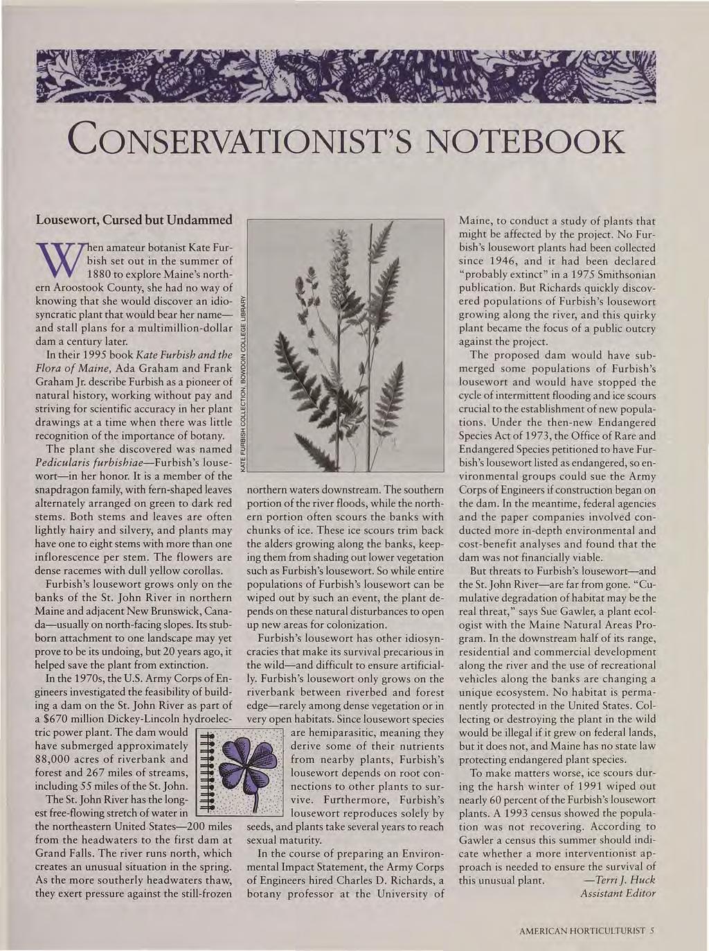 CONSERVATIONIST'S NOTEBOOK Lousewort, Cursed but Undammed W; en amateur botanist Kate Furbish set out in the summer of 1880 to explore Maine's northern Aroostook County, she had no way of knowing
