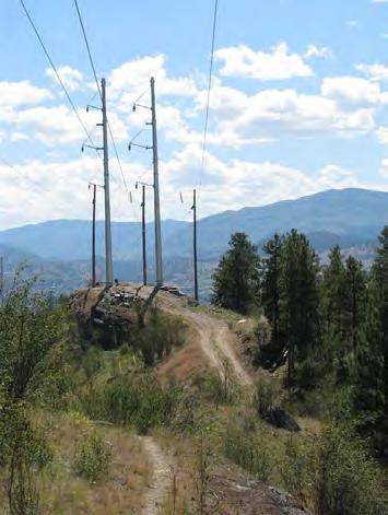 Many of these trails and fire lines were also established during the 1994 Garnet Wildfire. This fire was known to severely affect the forest cover on much of the property.