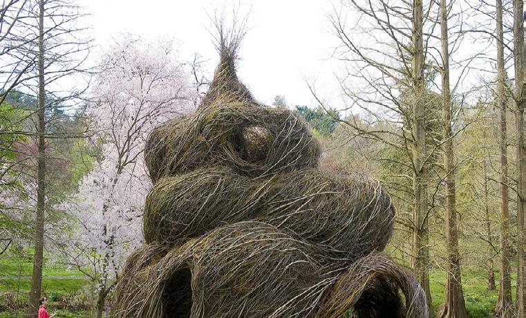 September February 2012 2016 2019 Workshops and Opportunities to Work with Patrick Dougherty This spring artist Patrick Dougherty will be returning to the Arboretum to create a large, abstract