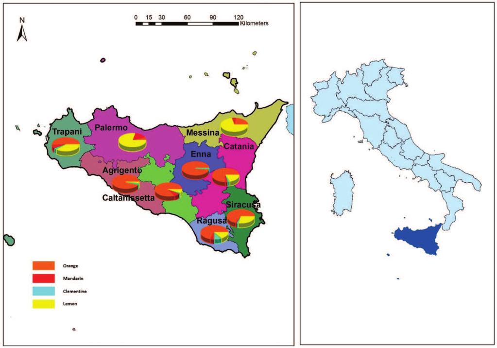 140 Citrus Pathology Figure 1. Citrus production is a fundamental sector of agriculture in Sicily, the largest of the Italian islands, located in the South of Italy.