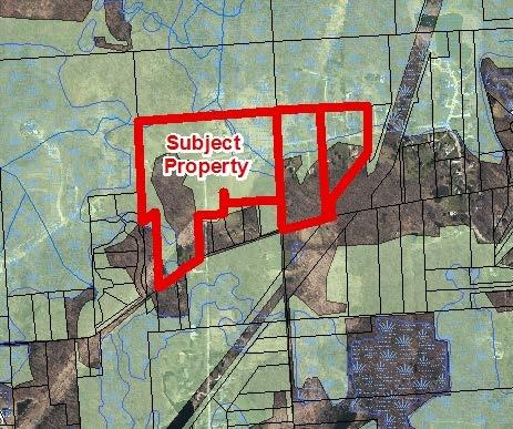 JSP17-52 Villa D Este October 31, 2017 PRO Concept Plan: Planning Review Page 7 of 14 The property to the west of the subject property along Nine Mile Road is the Evergreen Estates.